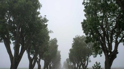 Lutube网排行榜第一 百万播放量经典